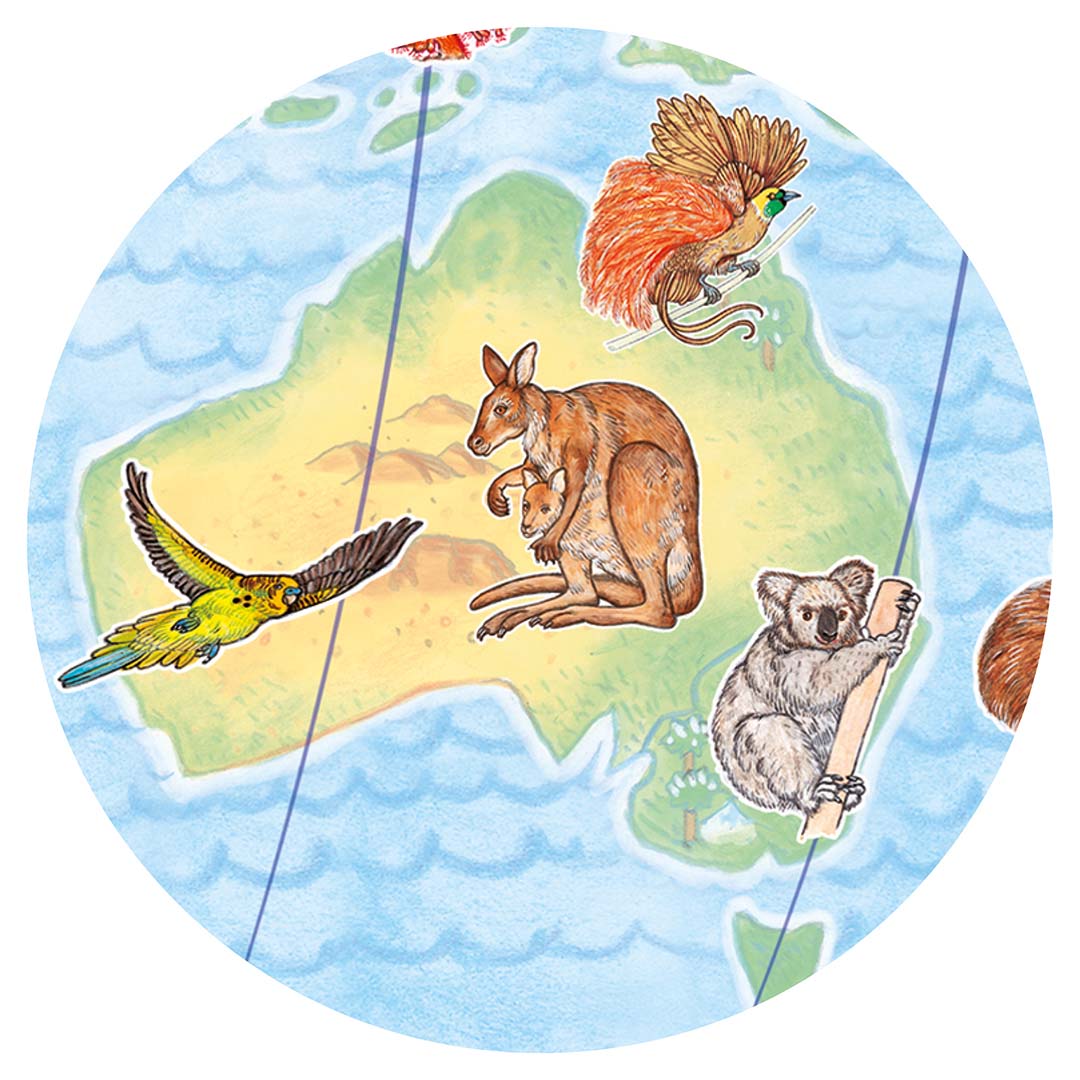 djeco puzzel observation werelddieren (100st)