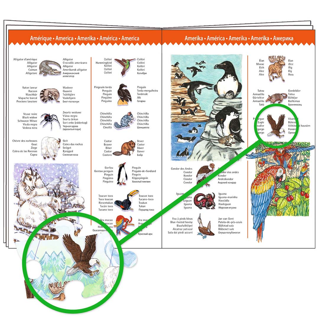 djeco puzzel observation werelddieren (100st)