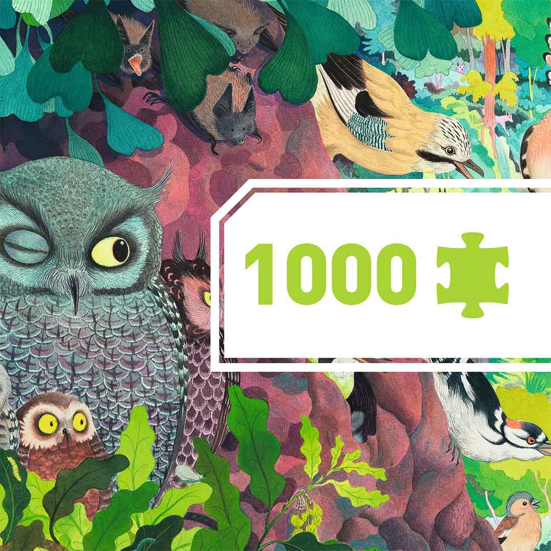 djeco puzzel uilen en vogels - 1000st | DJ07644 | 2