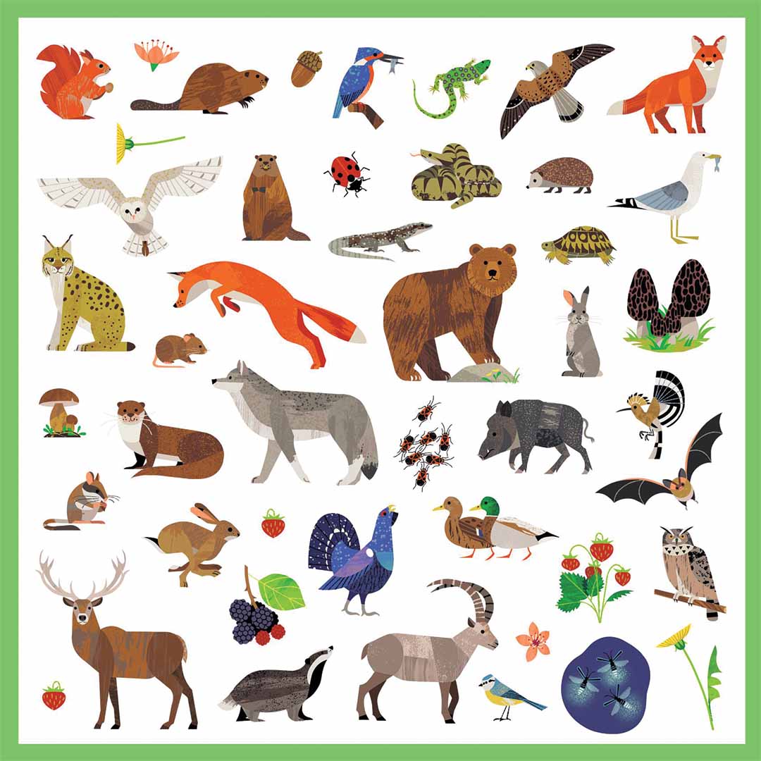 djeco stickers fauna - 160st | DJ09285 | 3