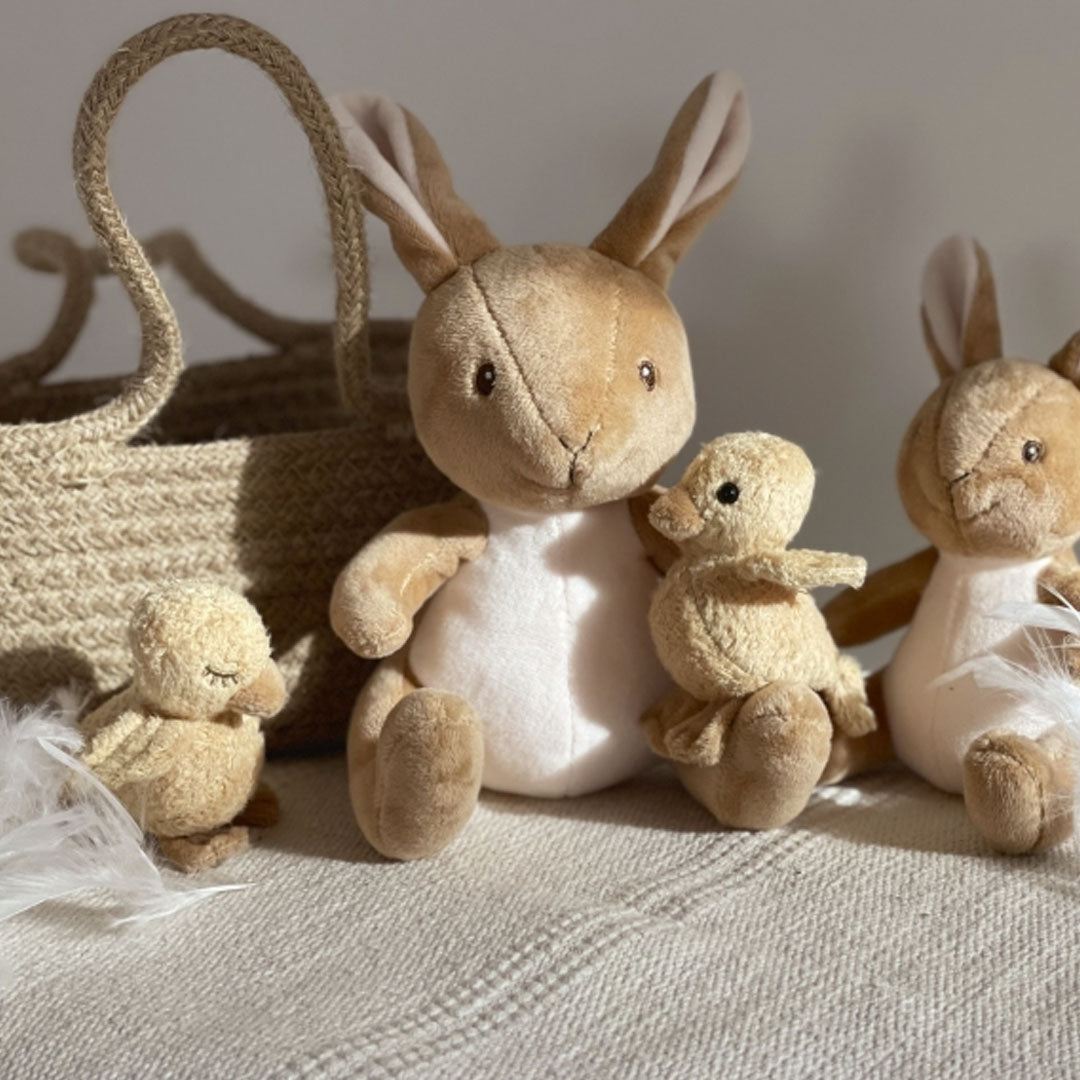 egmont-toys-knuffelkuiken-quack-9-cm_3