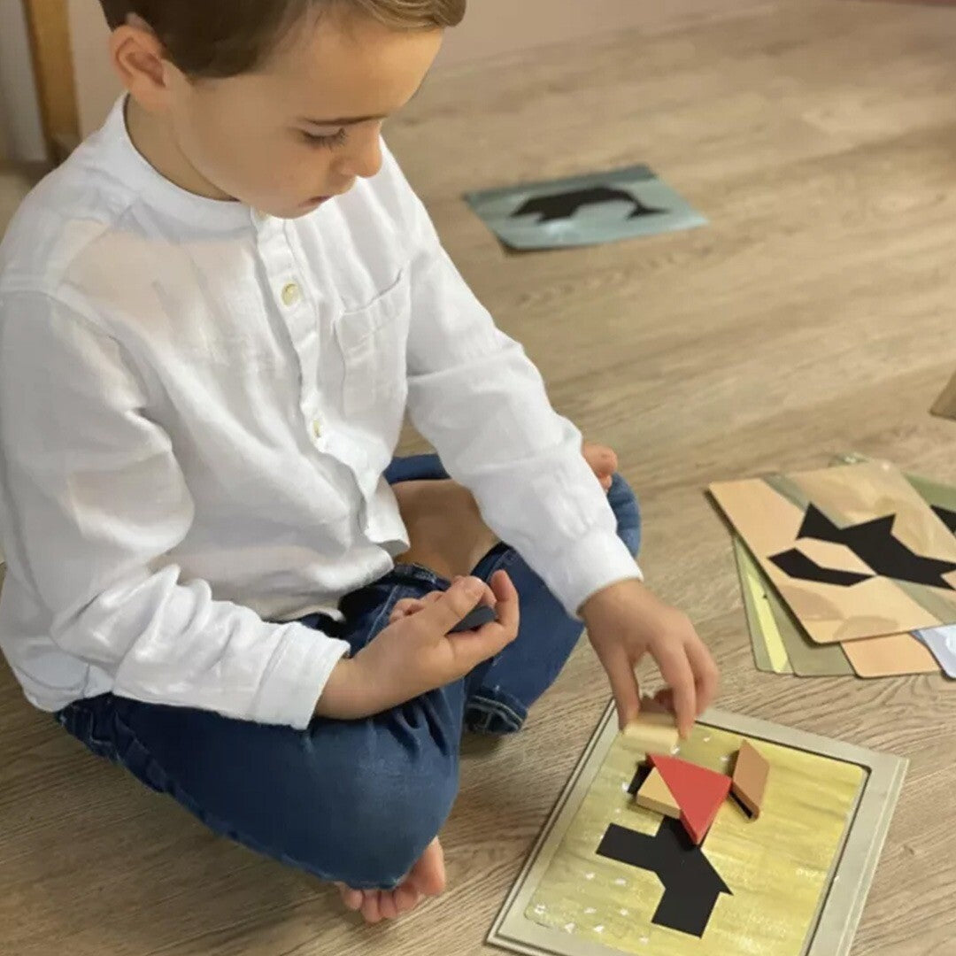 egmont toys magnetisch spel tangram  | ET630679 | 1
