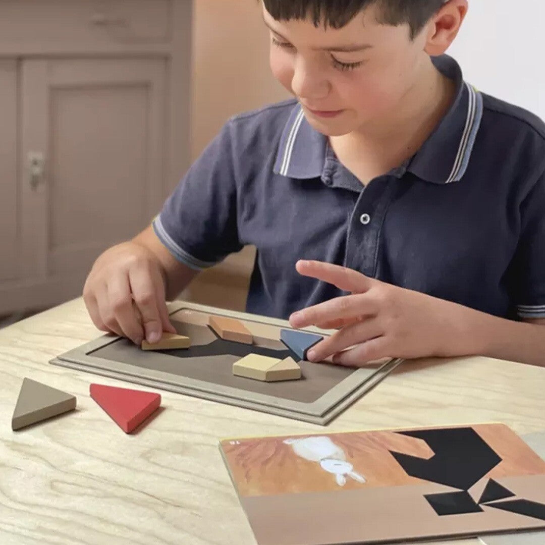 egmont toys magnetisch spel tangram  | ET630679 | 2