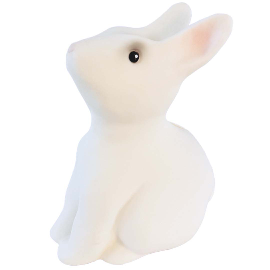 egmont toys spaarpot konijn | ET314705 | 1