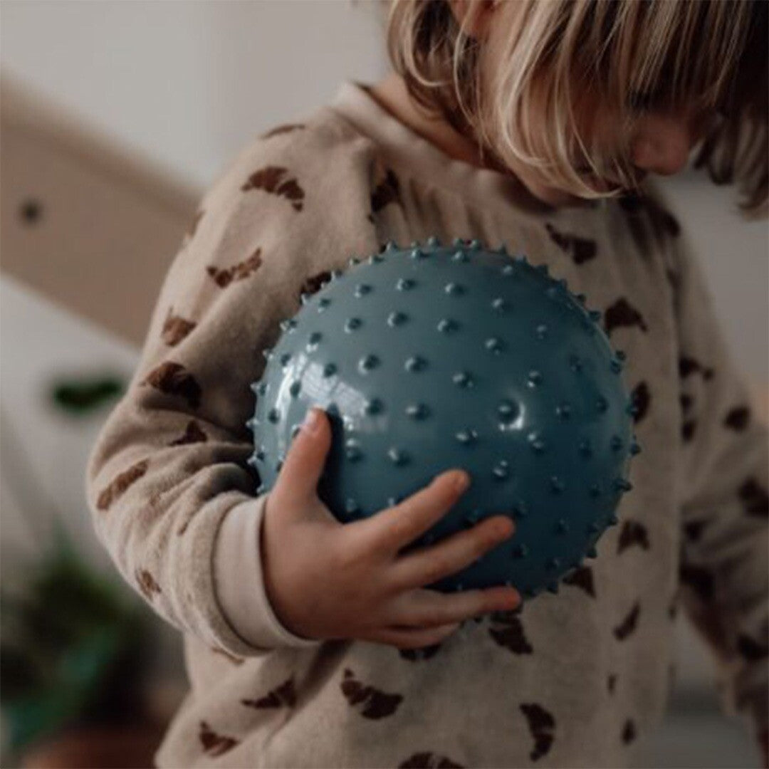 find that hippo sensorische ballen - blauw - 2st | 1740149 | 2