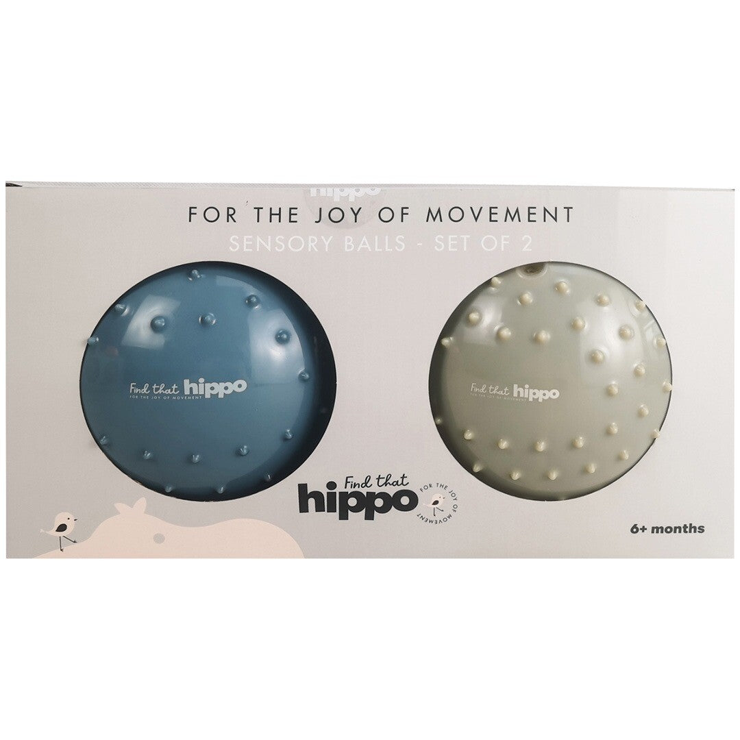 find that hippo sensorische ballen - blauw - 2st | 1740149 | 3