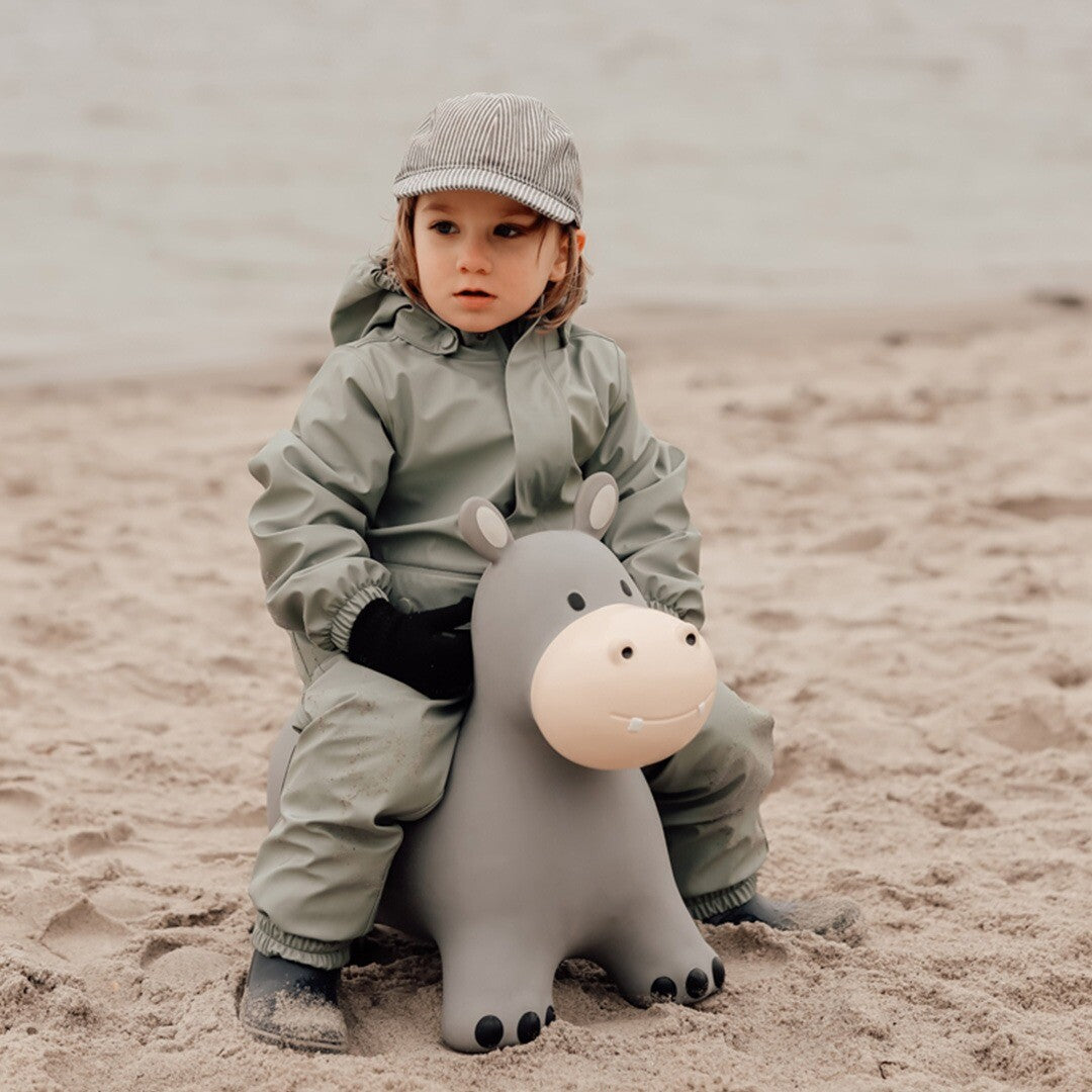 find that hippo skippydier nijlpaard | 1740152 | 1