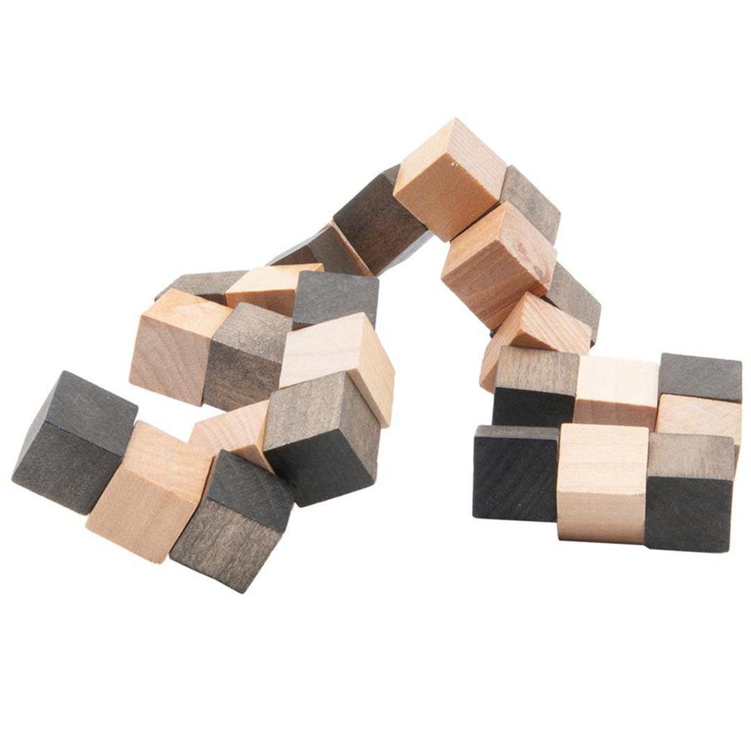 fridolin slangenkubus - iq-test | 7217810 | 3