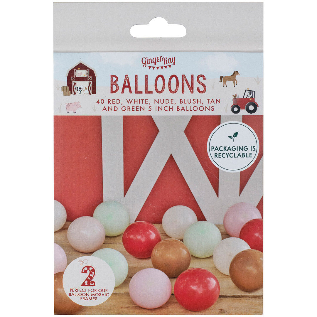 ginger ray ballonnen boerderij - 40st | FA-101 | 2