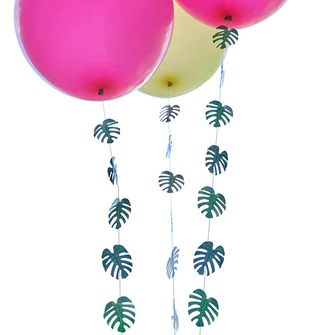 ginger ray ballonstaarten - 5st | TI-102 | 0