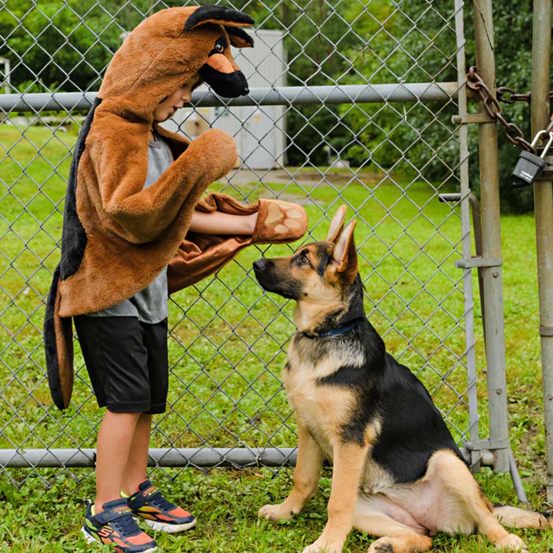 great pretenders verkleedcape herdershond - 1,5-3 jaar | 50372 | 4
