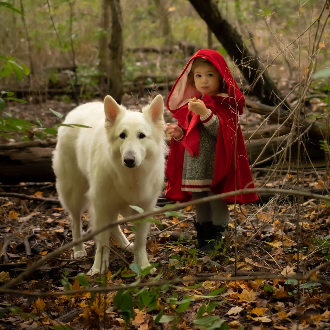 great pretenders verkleedcape roodkapje - 4-6 jaar | 50875 | 3