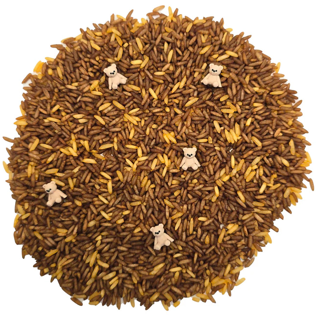 grennn speelrijst teddy mix - 750 gr | GREN8785312013215 | 1