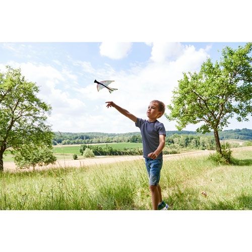 haba terra kids - katapultvliegtuig  | 1303572001 | 1
