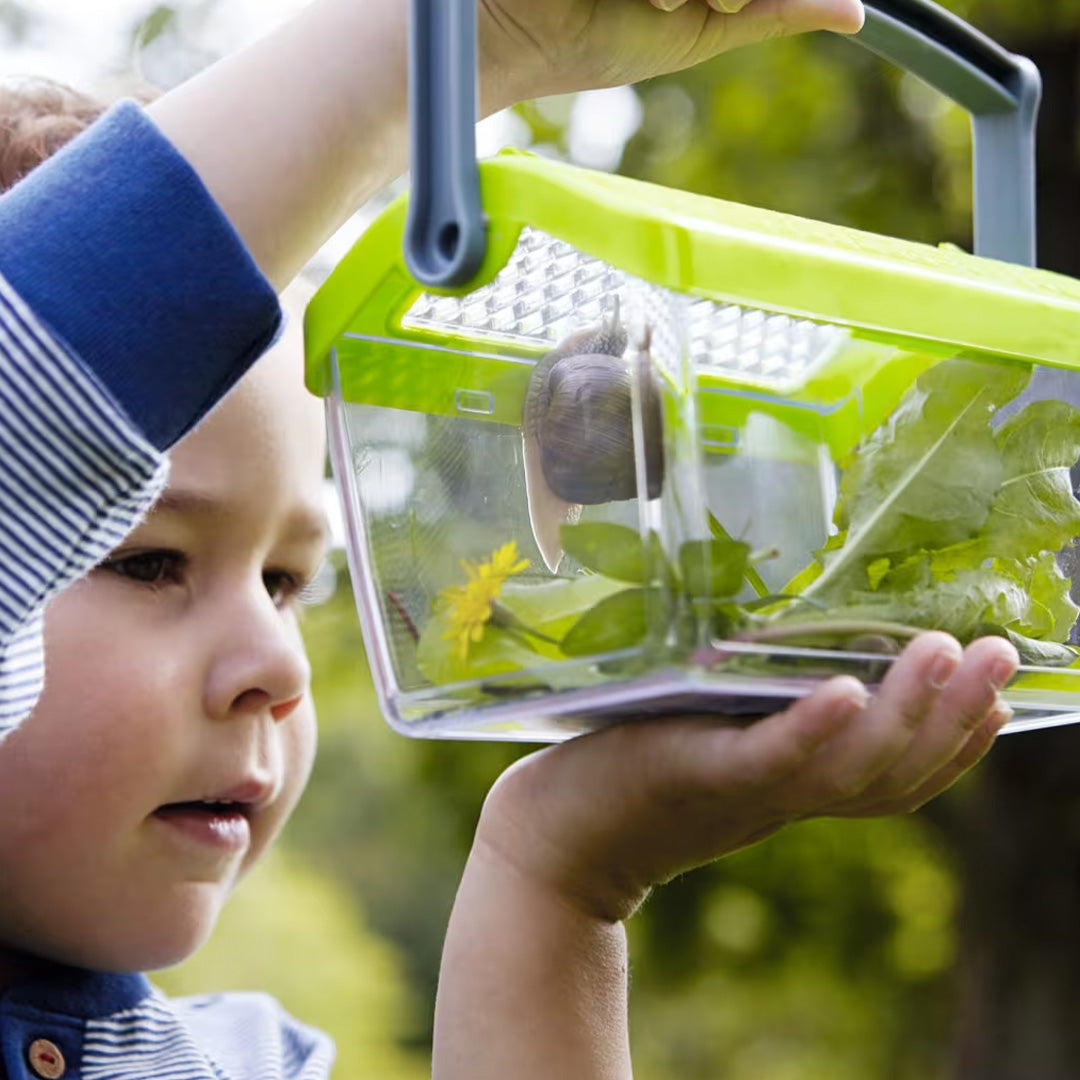 haba terra kids - insectendoos  | 1301513001 | 2