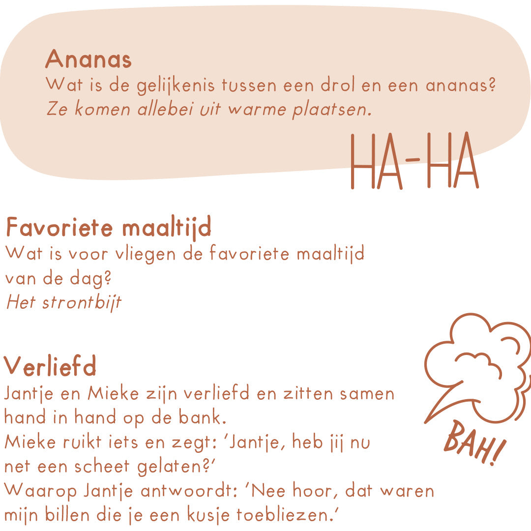 het mega walgelijke moppenboek