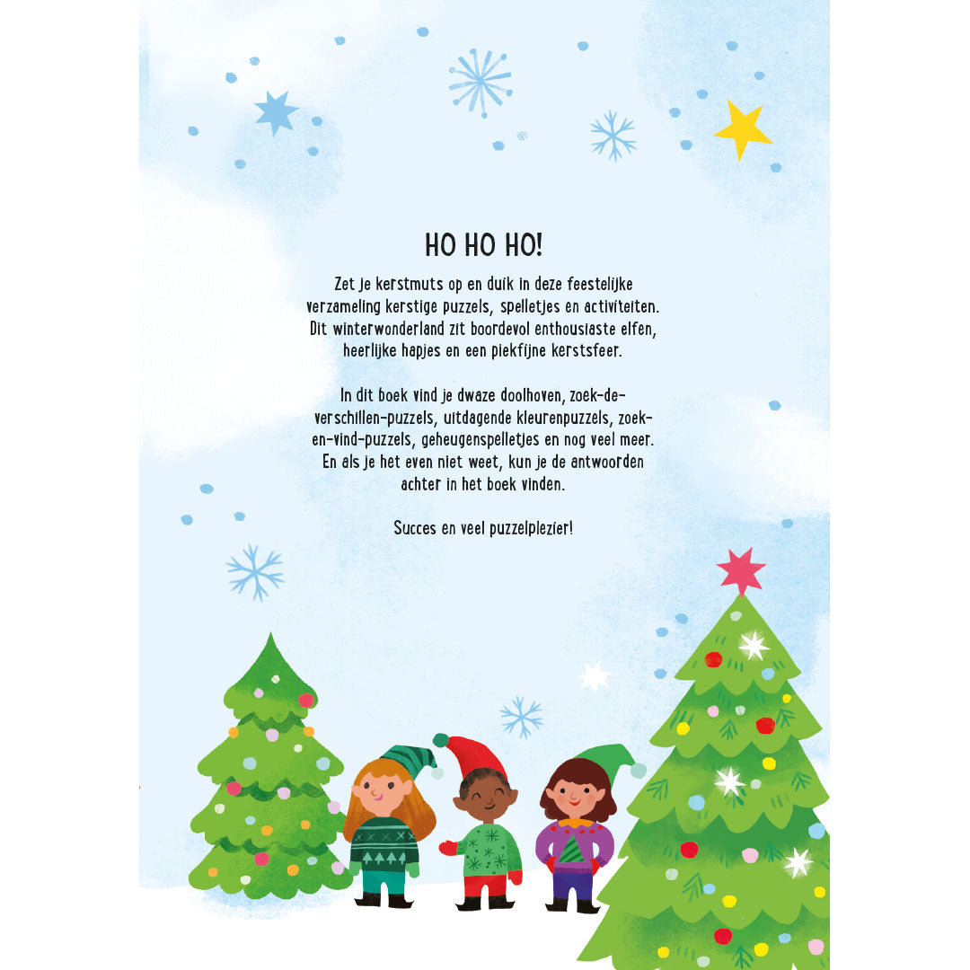 het piekfijne kerstmis spelletjesboek