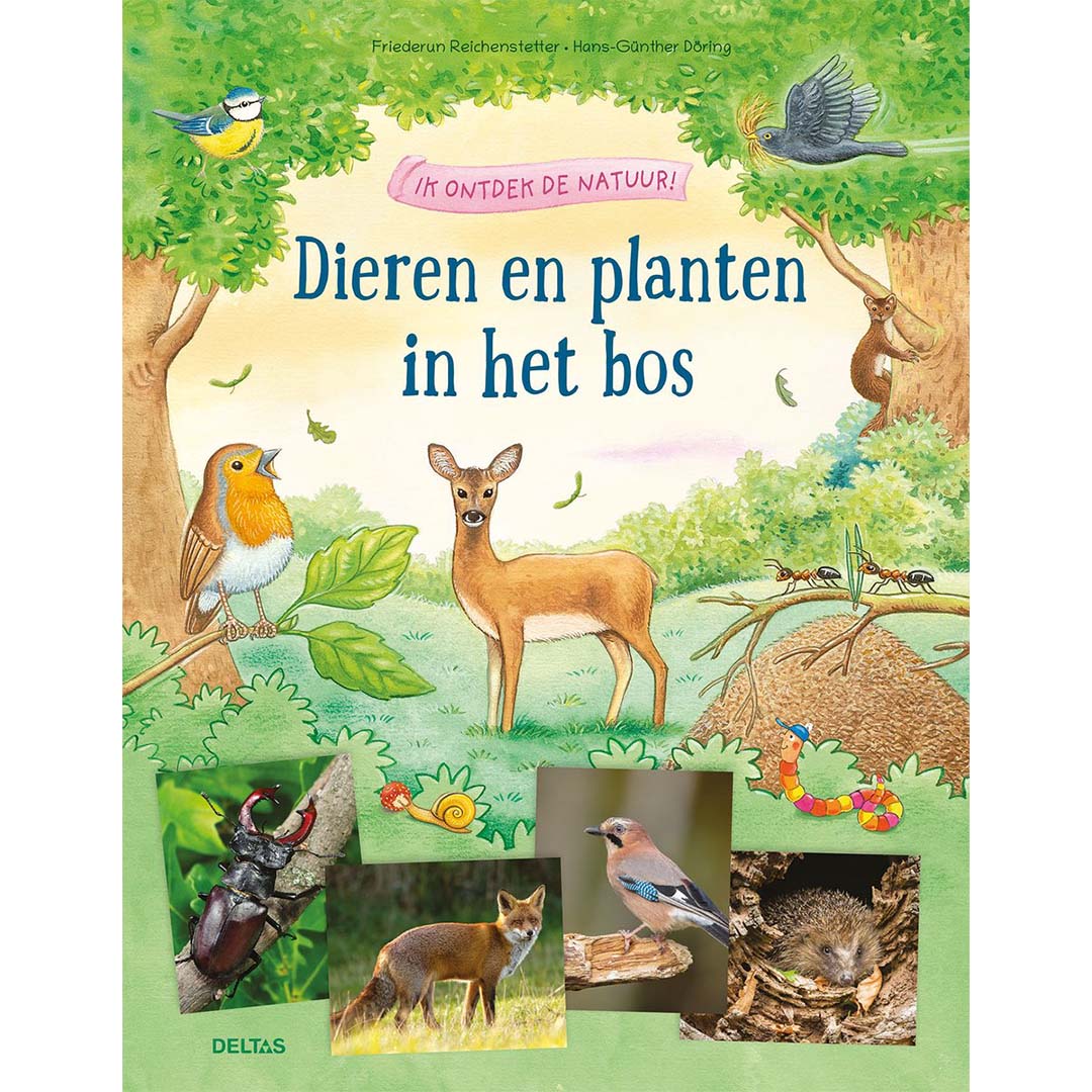 ik ontdek de natuur! dieren en planten in het bos