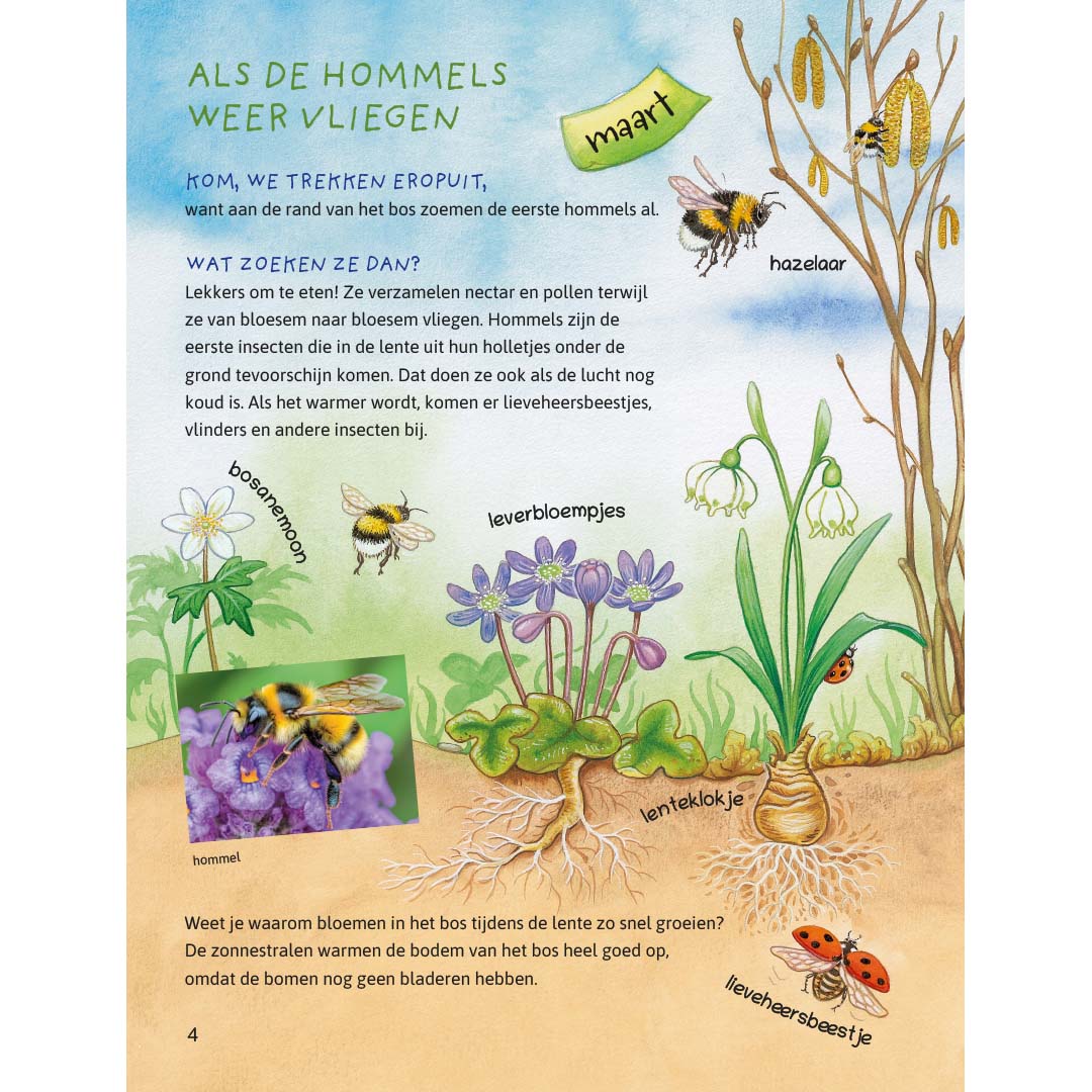 ik ontdek de natuur! dieren en planten in het bos