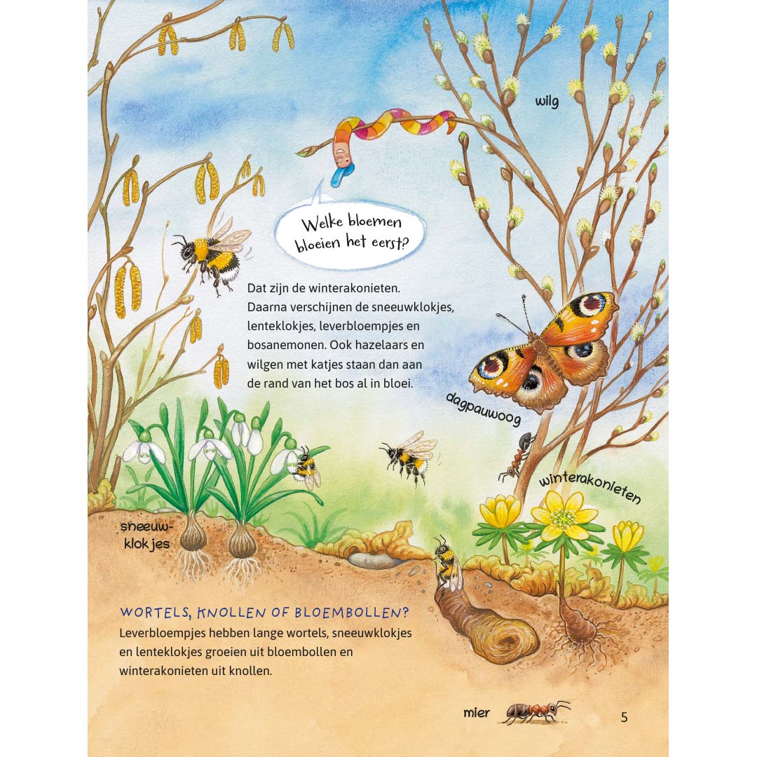 ik ontdek de natuur! dieren en planten in het bos