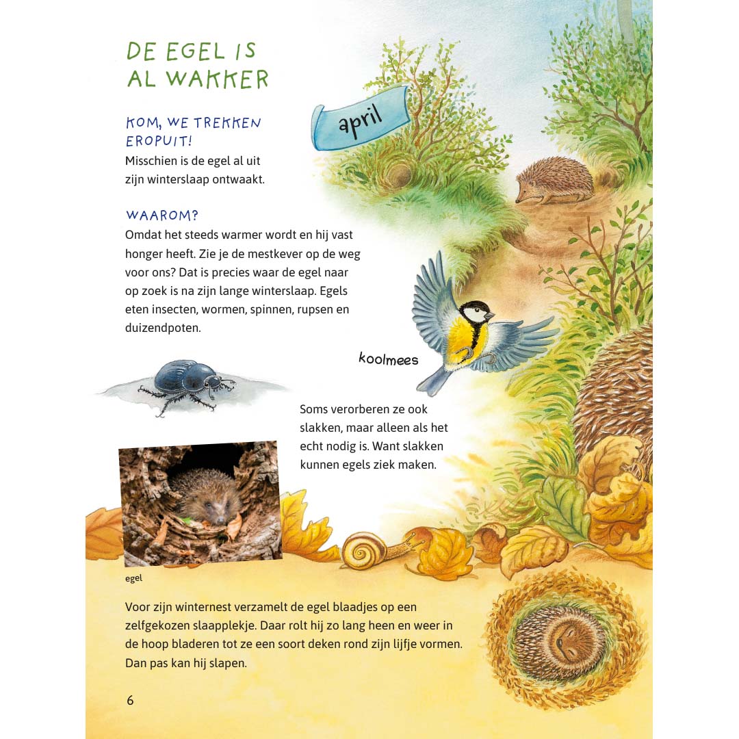 ik ontdek de natuur! dieren en planten in het bos