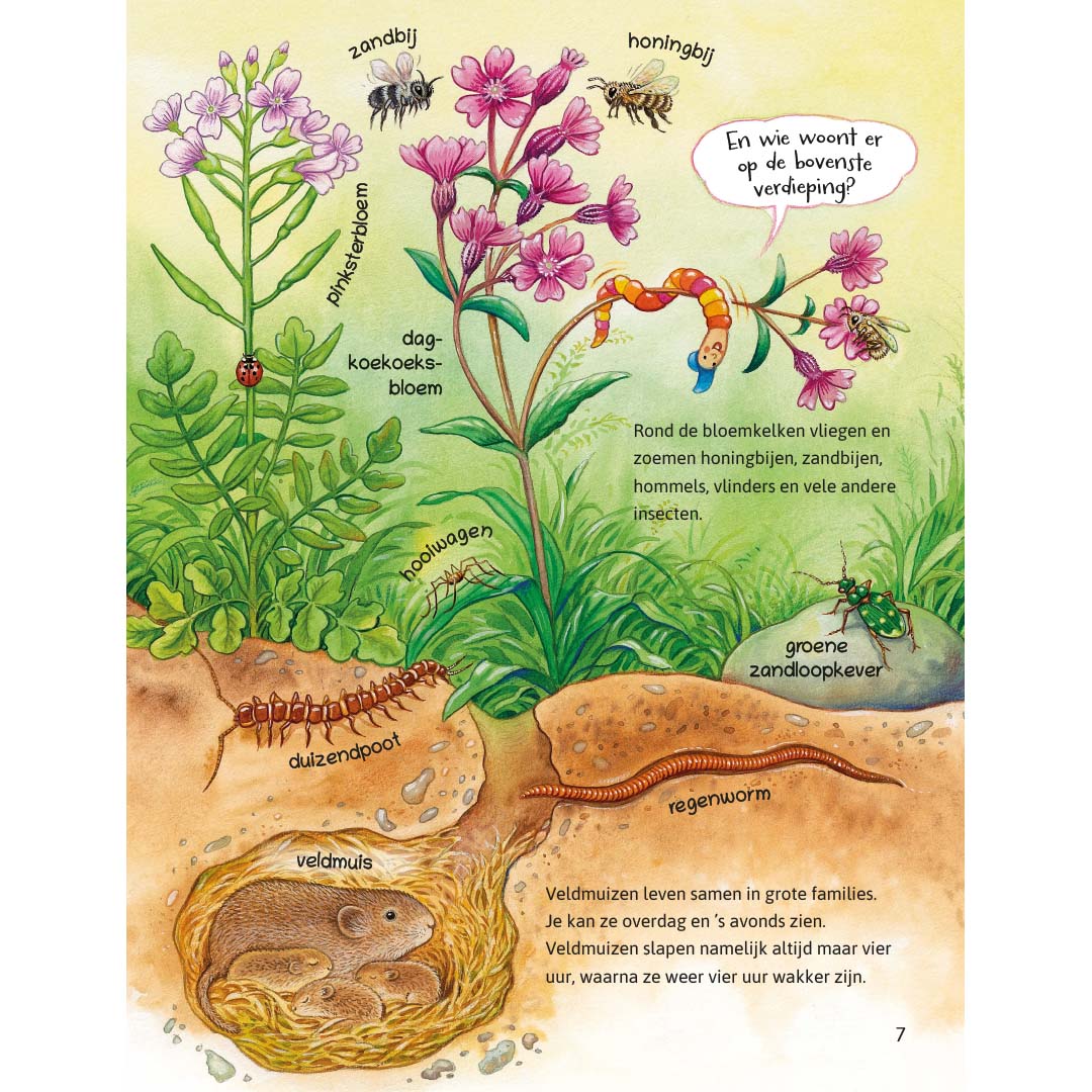ik ontdek de natuur! dieren en planten in het veld