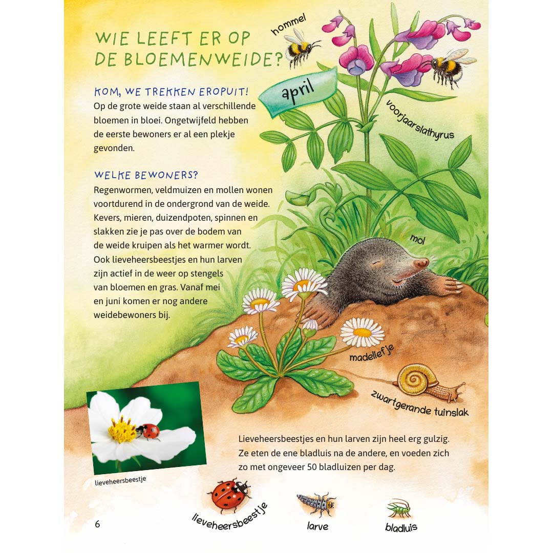 ik ontdek de natuur! dieren en planten in het veld