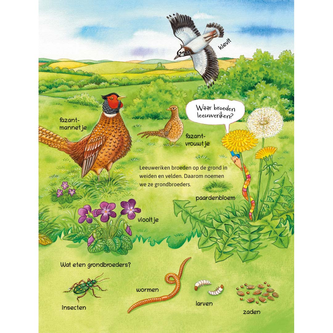 ik ontdek de natuur! dieren en planten in het veld