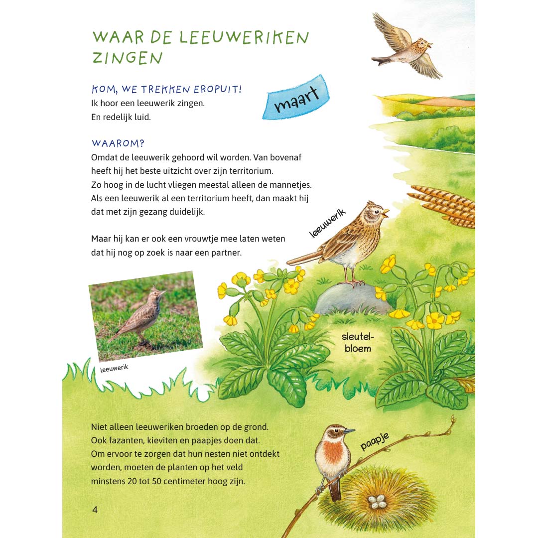ik ontdek de natuur! dieren en planten in het veld