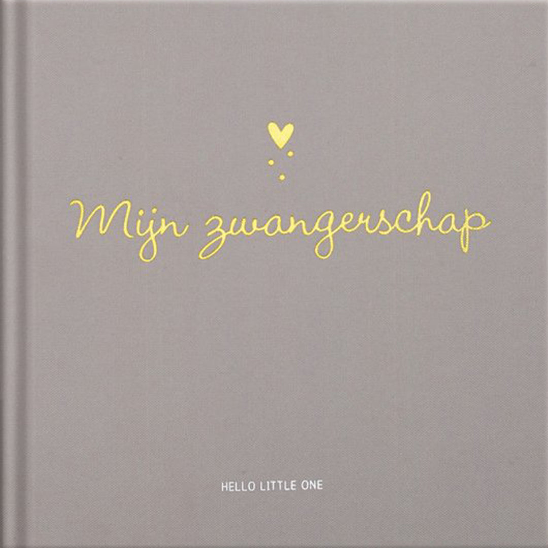image books invulboek hello little one - mijn zwangerschap  | 1318328 | 0
