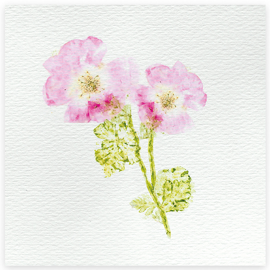 janod atelier bloemenpers knutselset - 6st | 11.7879 | 4