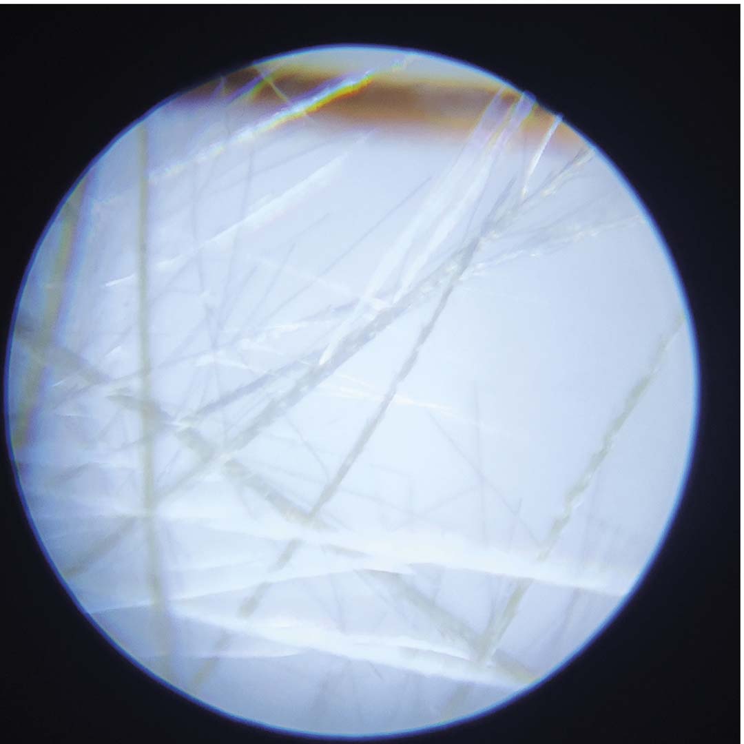 janod draagbare microscoop happy garden | 11.6303 | 3