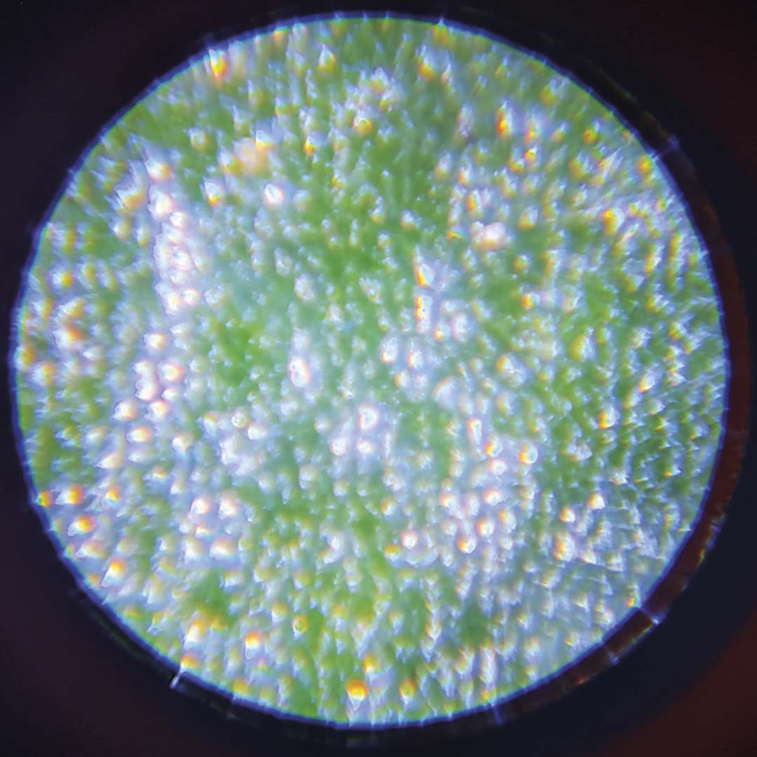 janod draagbare microscoop happy garden | 11.6303 | 4