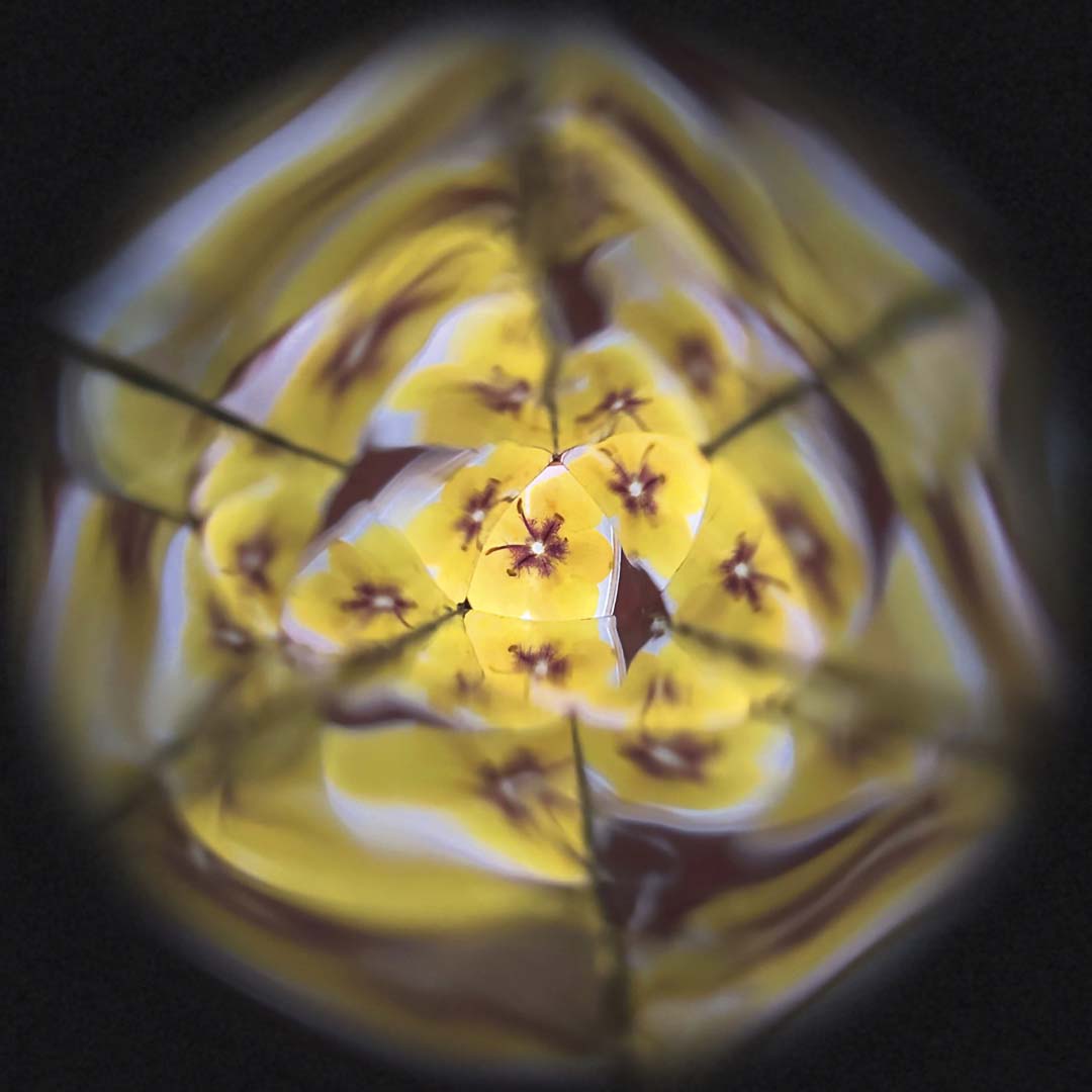 janod kaleidoscoop bloemen happy garden | 11.6310 | 3