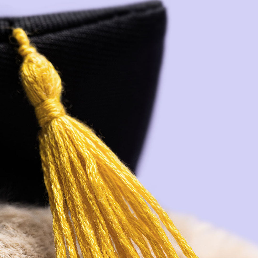 jellycat knuffelkonijn bashful bunny in afstudeer outfit - 31 cm | BAS3GRAD | 2