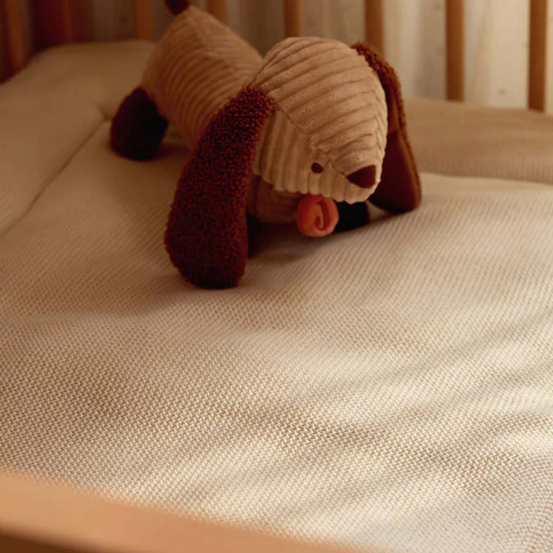 jollein knuffelhond animal friends - diego - 31 cm |  037-001-68144 | 5