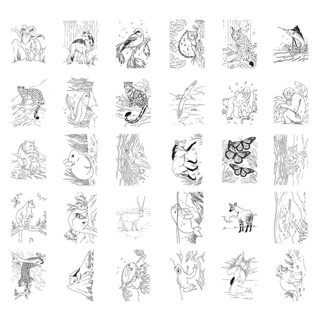 kidywolf tekenbord kidydraw pad - dieren |KIDYDRAW-PAD8-ANI | 6