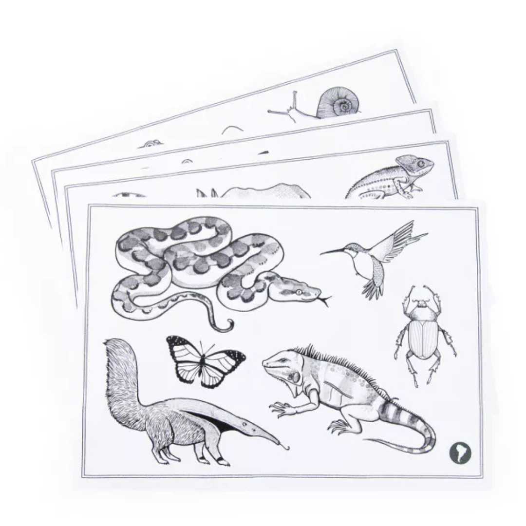 kidywolf x moulin roty tweezijdige tekentablet | 719200 | 4