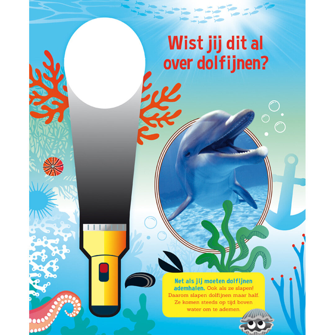 lantaarn publishers lees- en zoekboek speuren naar dolfijnen | 9789463544405 | 1