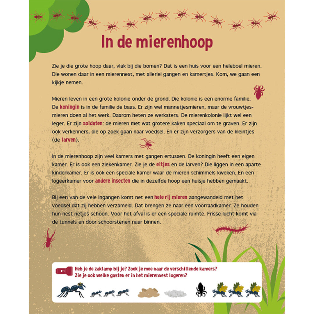 lantaarn publishers lees- en zoekboek speuren onder de grond | 9789463541459 | 3