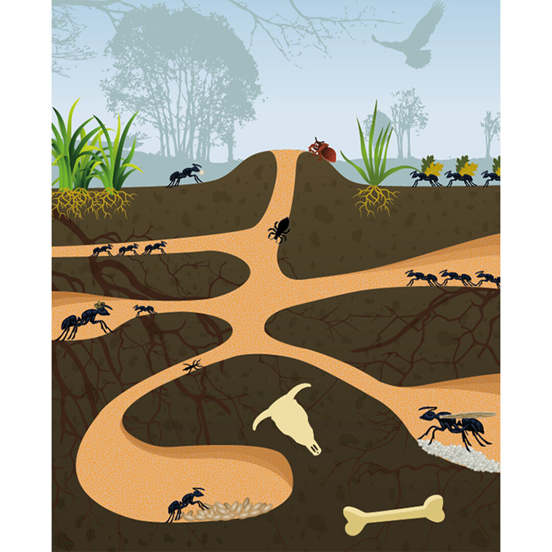 lantaarn publishers lees- en zoekboek speuren onder de grond | 9789463541459 | 4