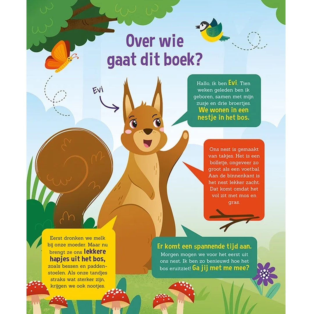 lantaarn publishers zoek- en leesboek speuren in het bos | 9789463549172 | 1