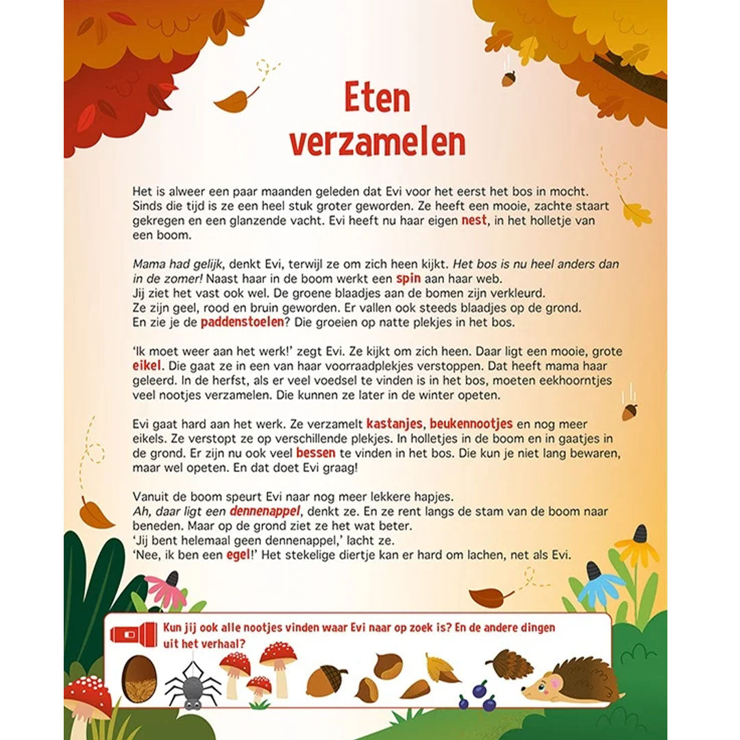 lantaarn publishers zoek- en leesboek speuren in het bos | 9789463549172 | 4