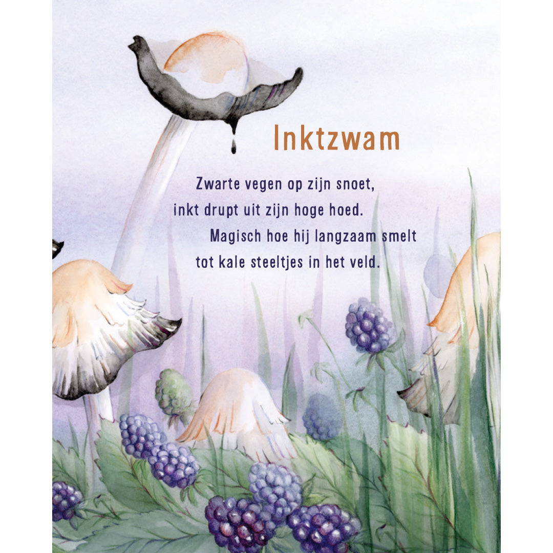 lemniscaat paddenstoelenvriendjes | 1631635 | 5