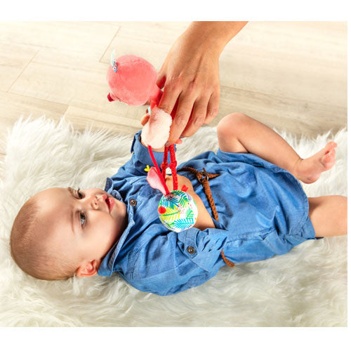 lilliputiens knuffel met rammelaar - anaïs - 23 cm | 22.83056 | 1