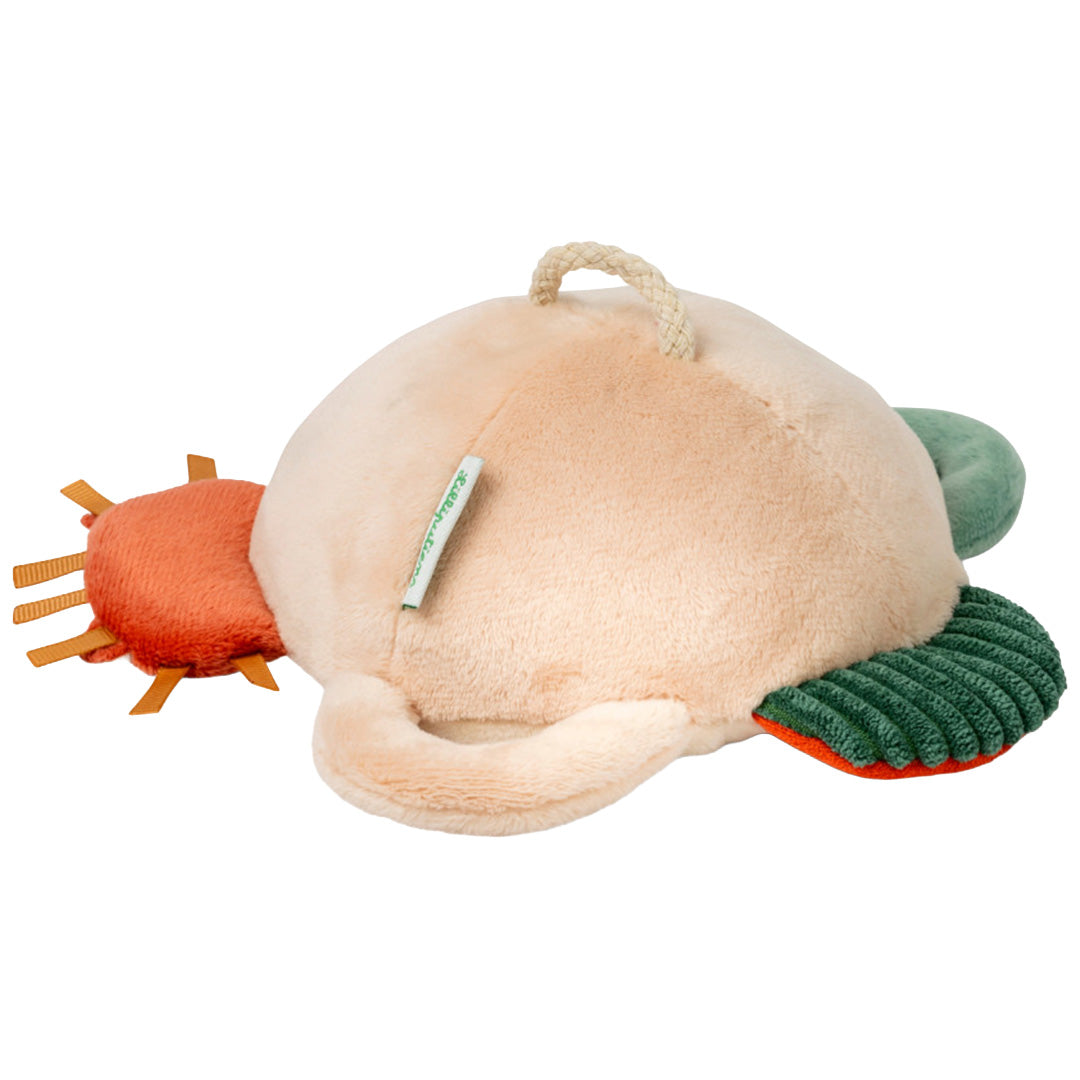 lilliputiens activiteitenspiegel - jack de leeuw | LIPU83683 | 3