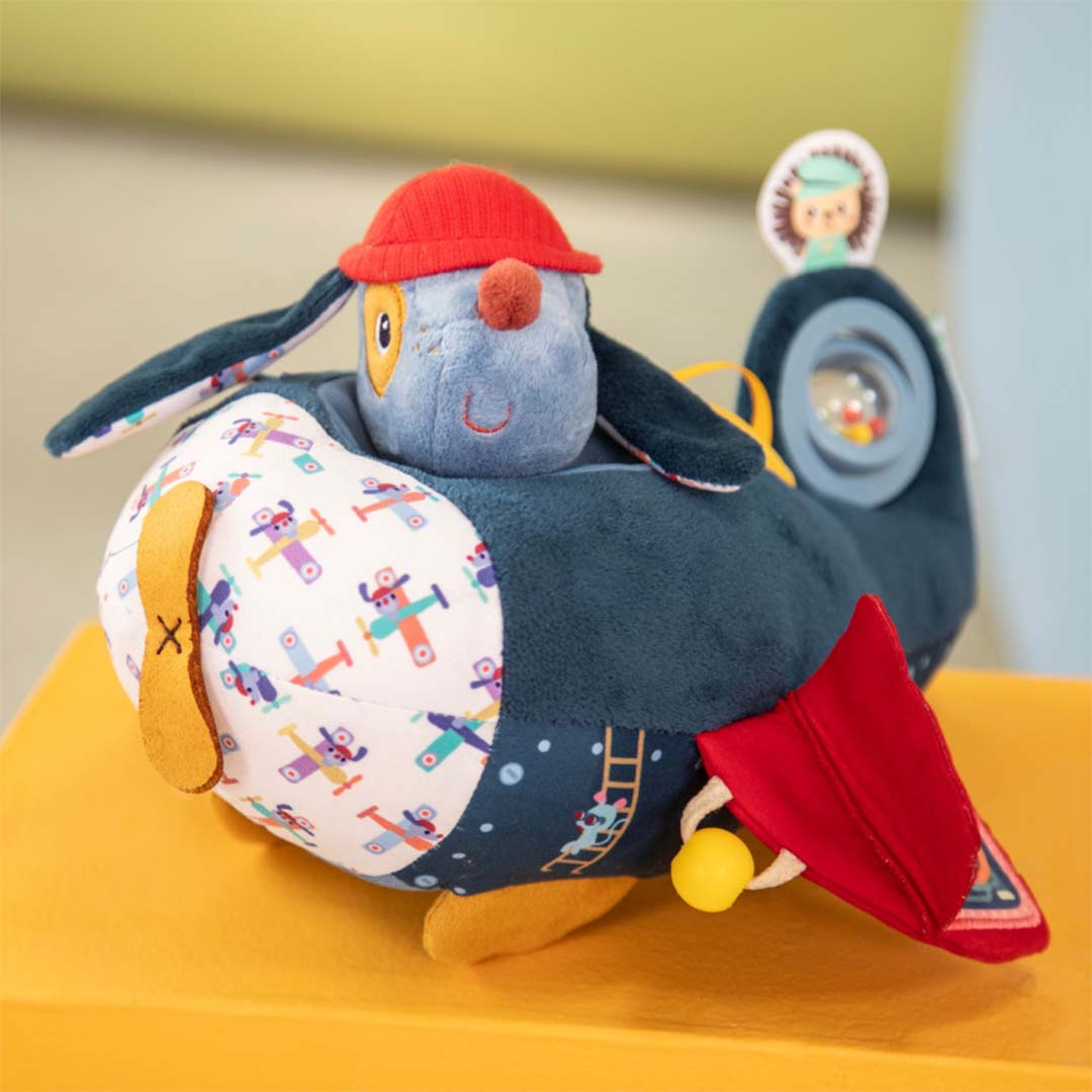 lilliputiens activiteitenvliegtuig jules | 22.83648 | 5