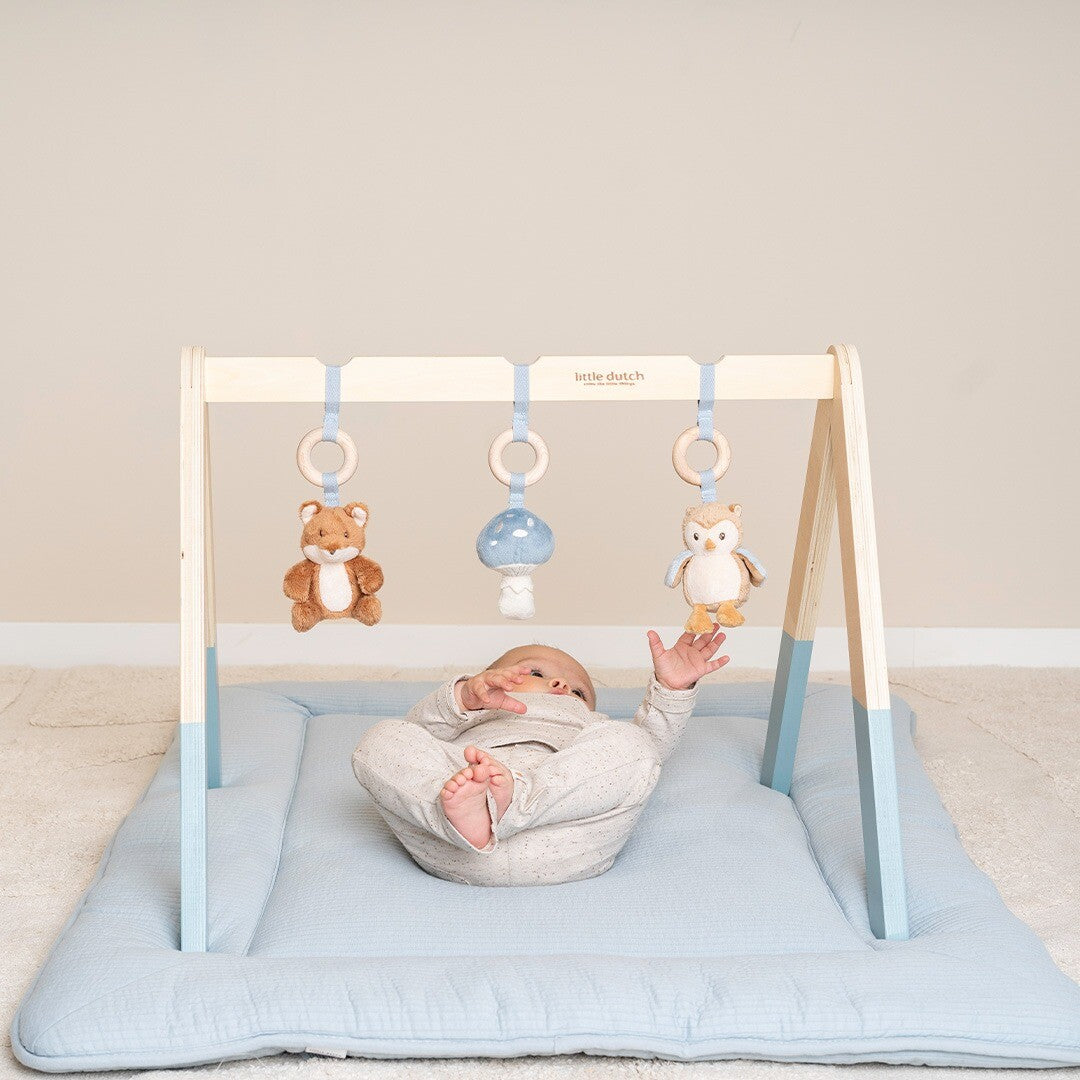 little dutch babygym met speeltjes forest friends | LD8910 | 1