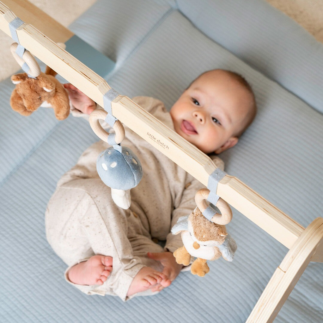 little dutch babygym met speeltjes forest friends | LD8910 | 2