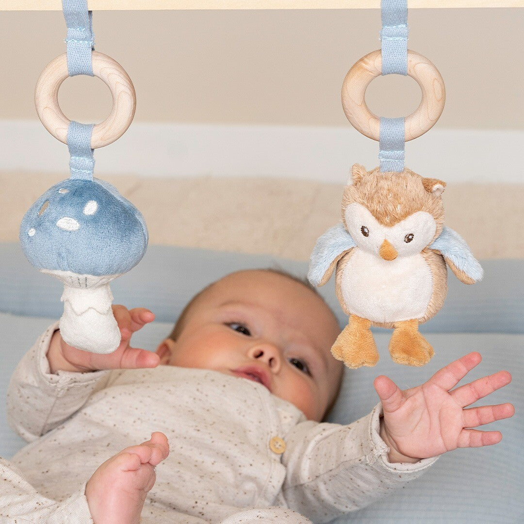 little dutch babygym met speeltjes forest friends | LD8910 | 5